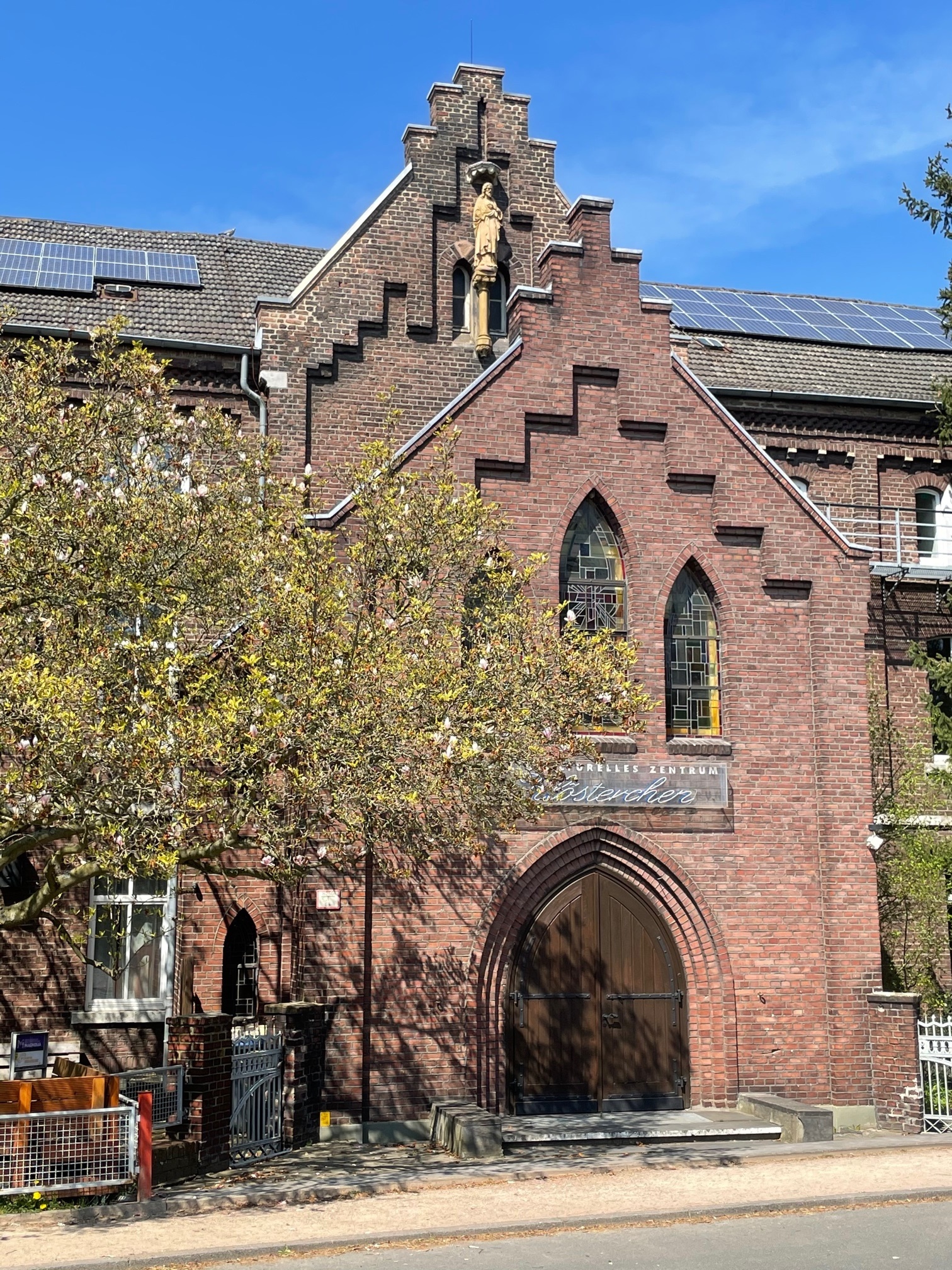 Magnolia im Klösterchen