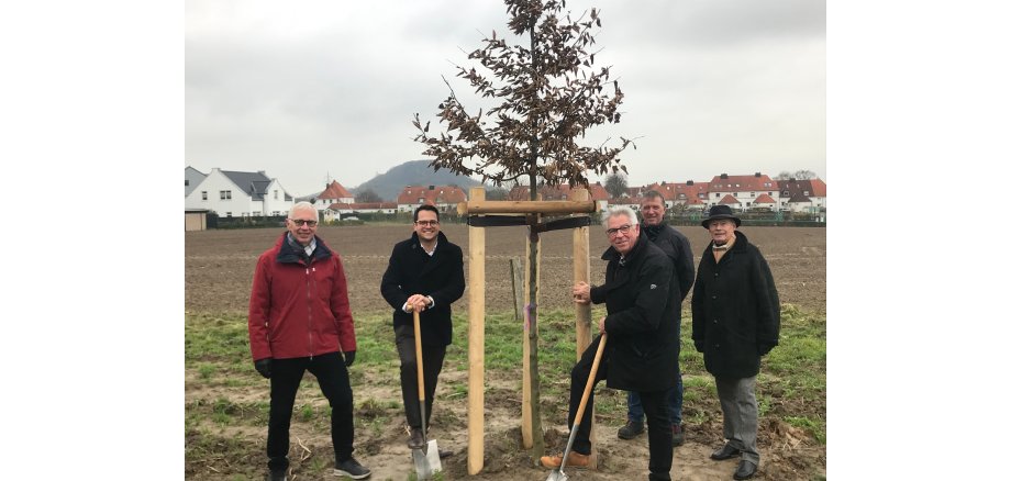 Fünf Menschen (André Gascard, Präsident des Lions Clubs Baesweiler Herzogenrath, Bürgermeister Dr. Benjamin Fadavian, Lions-Mitglied Walter Breuer, Rainer Schulte vom Herzogenrather Tiefbauamt und Lions-Mitglied Walter Taeter) stehen neben dem neu eingepflanzten Baum inmitten des gerade entstehenden Neubaugebiets Herrenstraß in Herzogenrath. 