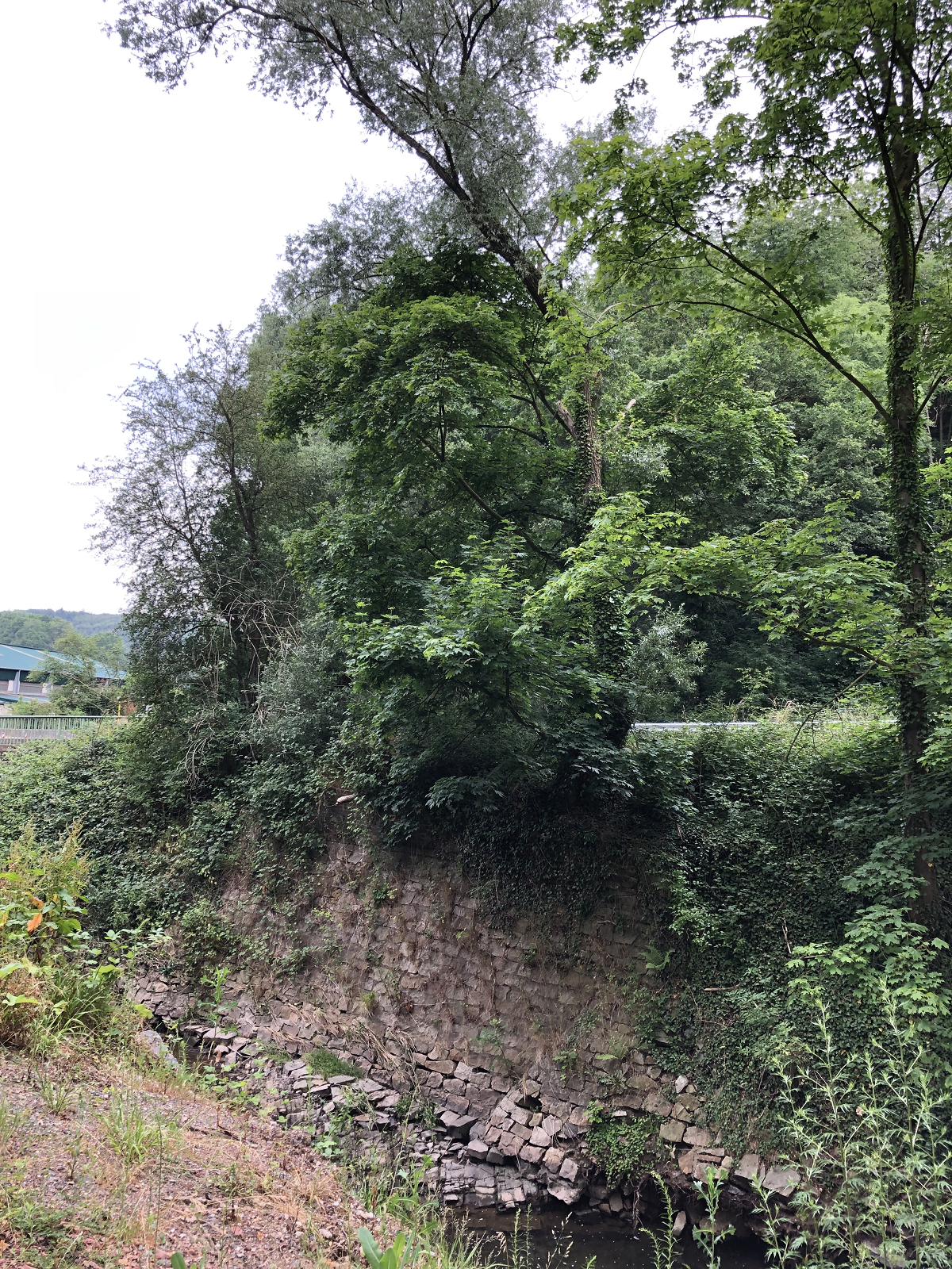 Ufermauerwerk angrenzend an Reitweg