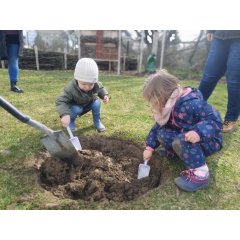 Kita-Kinder pflanzen Apfelbäume