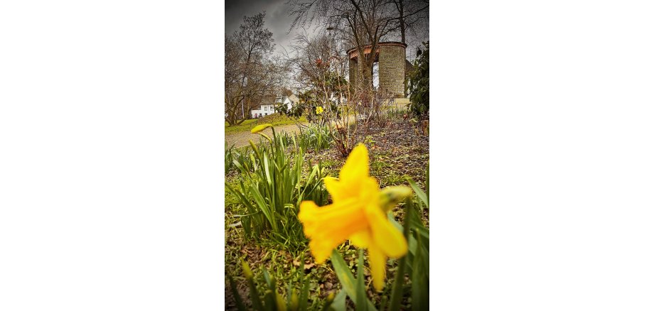 Der Frühling kommt in die Stadt