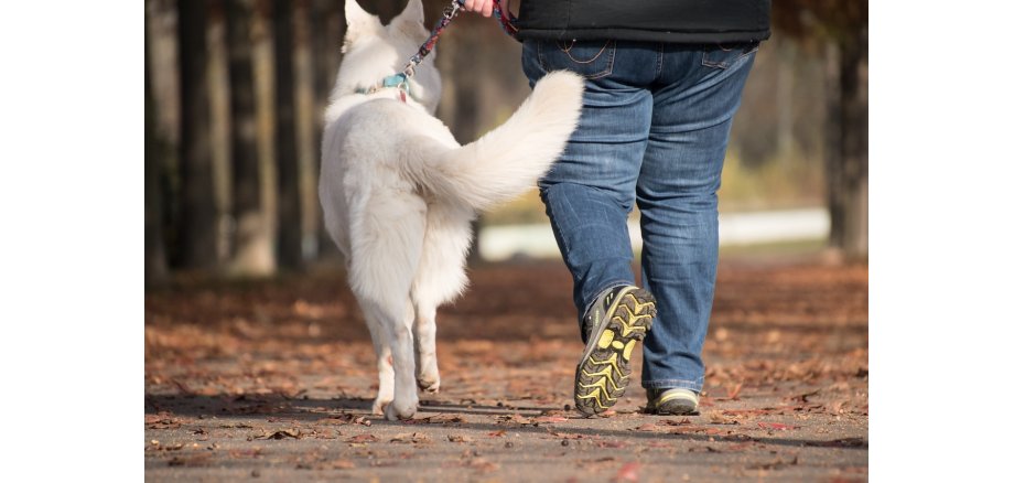 Ein Mensch geht mit einem Hund Gassi