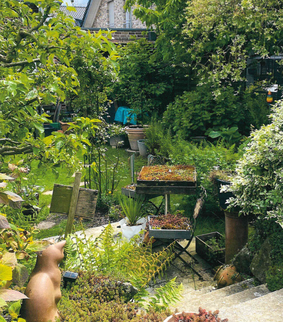 Garten der Gewinner des Gartenbauwettbewerbs 2024 aus Herzogenrath