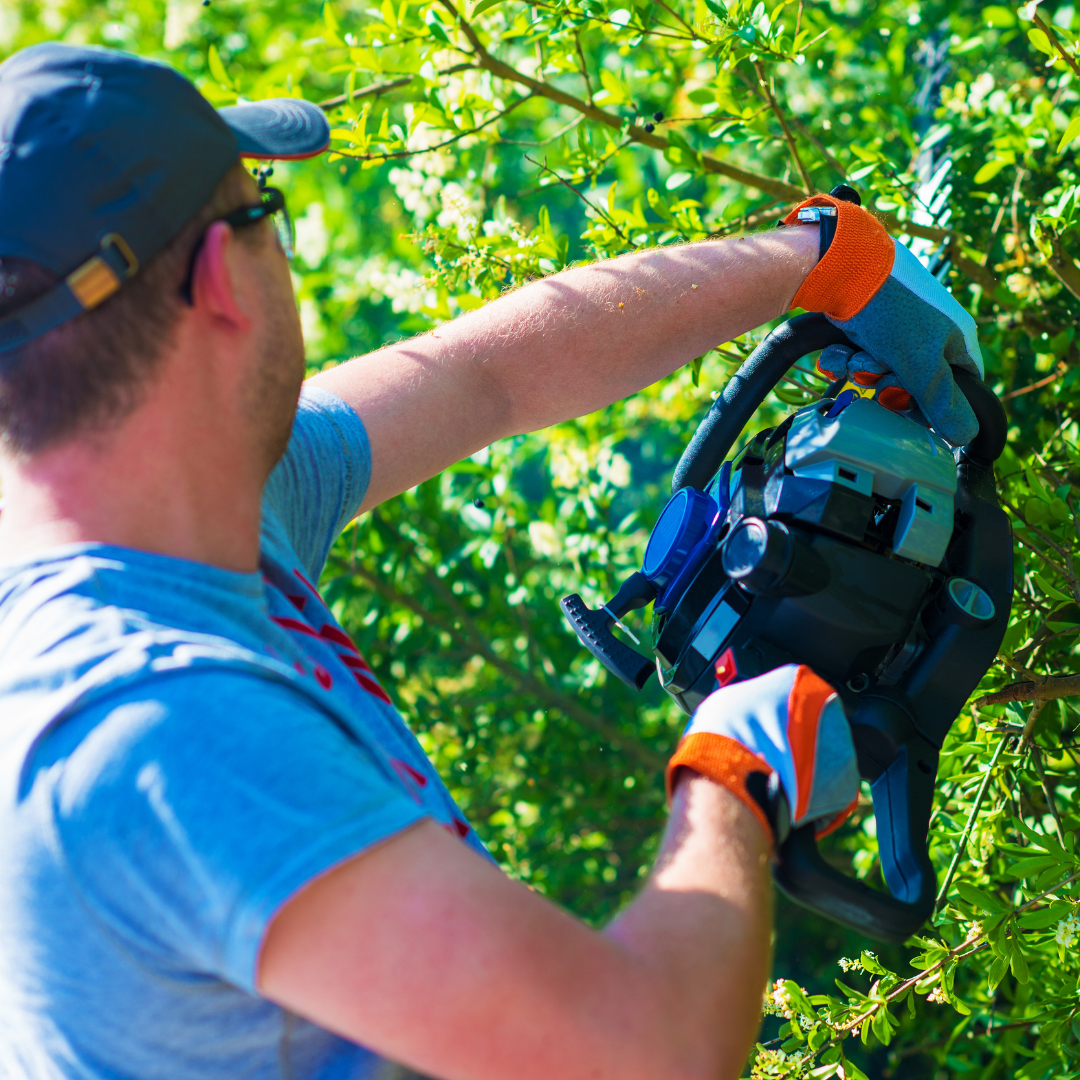 Ein Mann schneidet eine Hecke