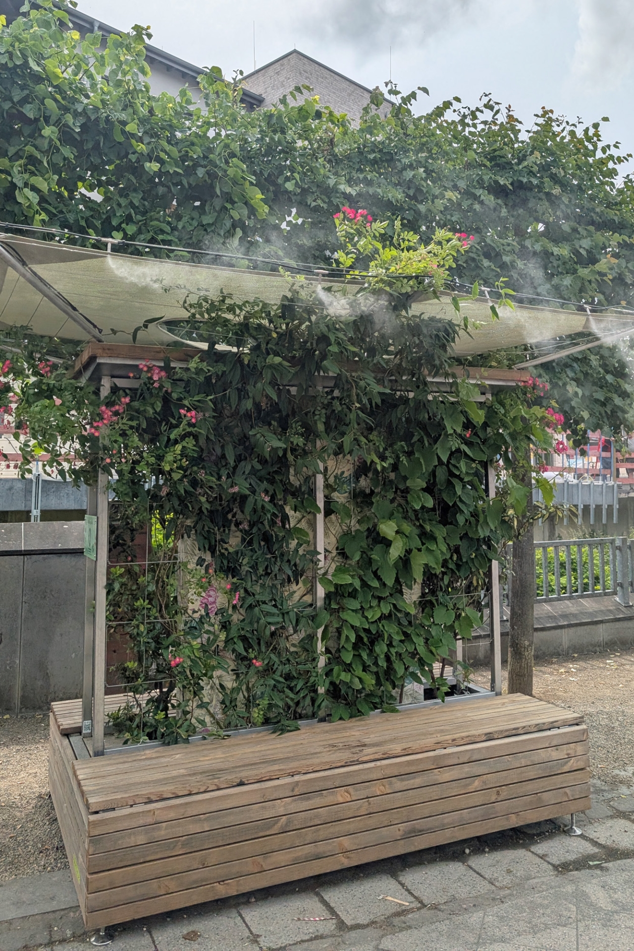 Klima-Sitzbank auf dem Ferdinand-Schmetz-Platz mit Bepflanzung