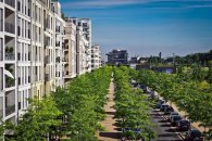 Begrünung-Bäume auf einer Str. Begrünung-Bäume auf einer Str.