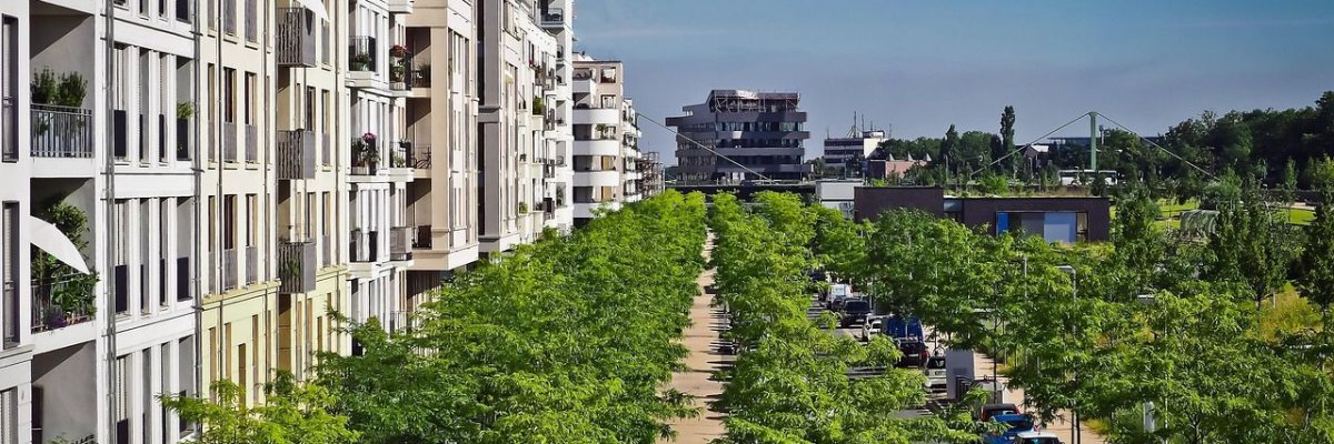 Begrünung-Bäume auf einer Str. Begrünung-Bäume auf einer Str.