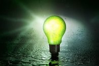 Glühlampe leuchtend grün auf nassem Boden aufrecht Glühlampe leuchtend grün auf nassem Boden aufrecht