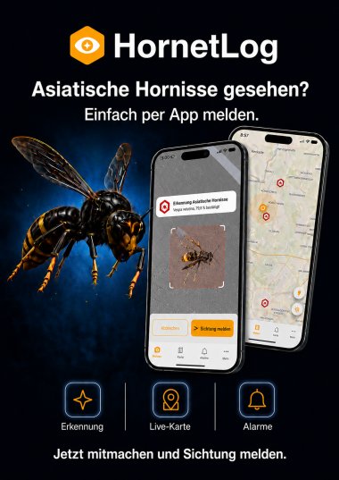 A6_Flyer_App_Vorne A6_Flyer_App_Vorne