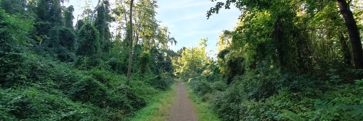 Insektenlehrpfad Wald Merkstein