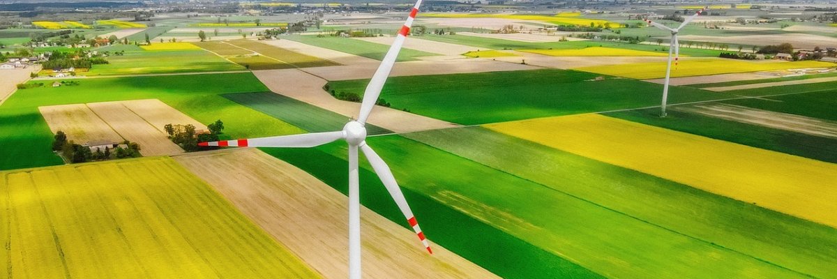 Windenergieräder auf dem Feld