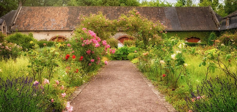 Gartenweg, rechts und linkst Kräuter und Rosen