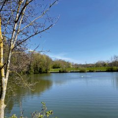 Weiher Herzogenrath