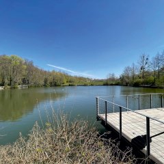 Weiher Herzogenrath