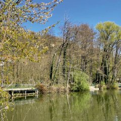 Weiher Herzogenrath