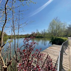 Weiher Herzogenrath