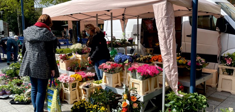 Wochenmarkt Blumenstand Wochenmarkt Blumenstand