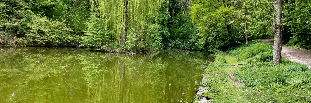 Rolduc Weiher Rolduc Weiher