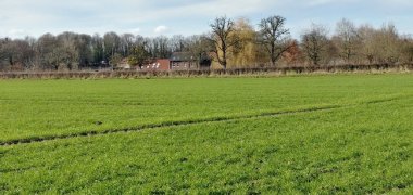 Hasenwald Hasenwald