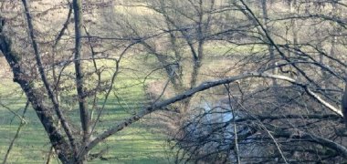 Wanderbeschreibung Wanderbeschreibung