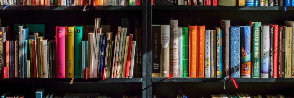 Bücherregal, viele Bücher in einem mehrstöckigen, schwarzen, offenen Holzschrank
