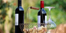 Weinflaschen_Glas_Korken